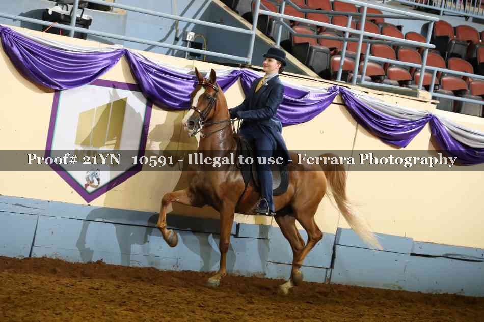 Proof 21YN_10591
