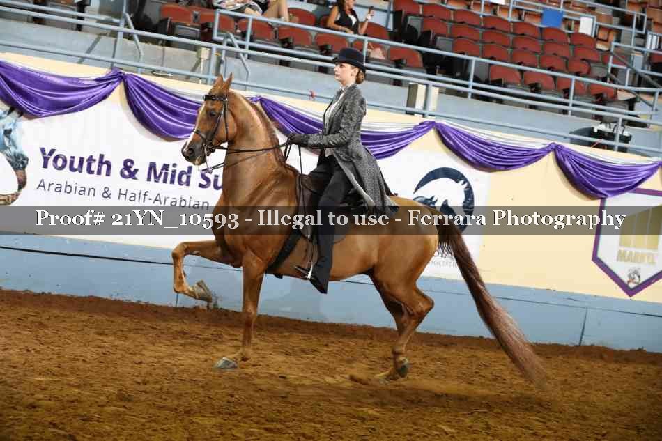 Proof 21YN_10593