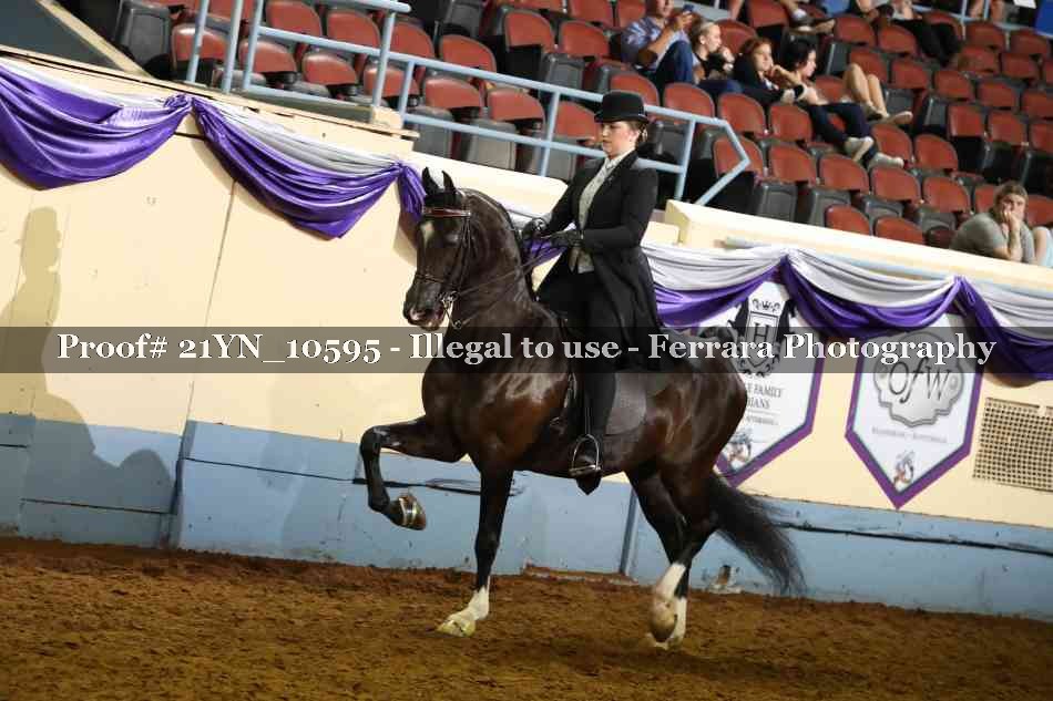 Proof 21YN_10595