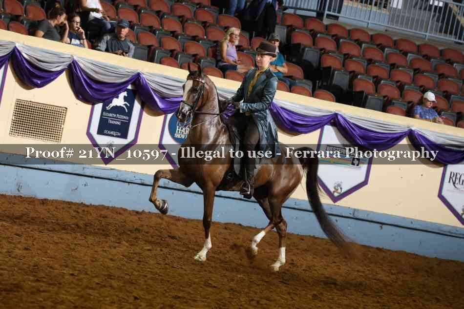 Proof 21YN_10597