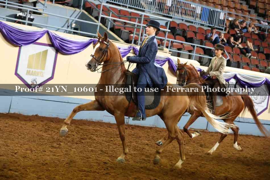 Proof 21YN_10601