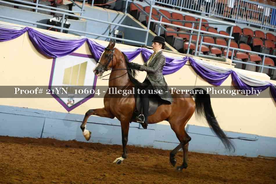 Proof 21YN_10604