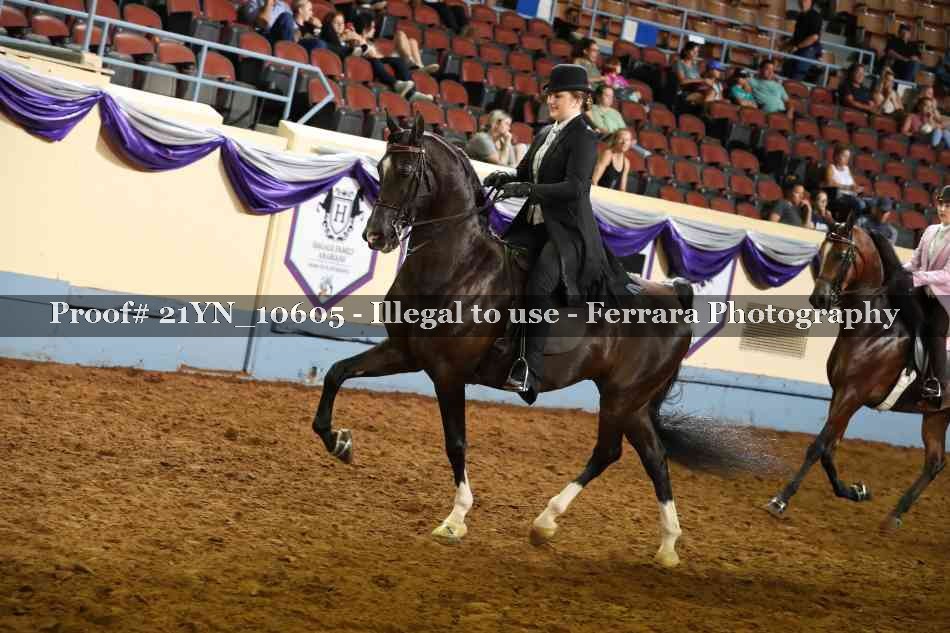 Proof 21YN_10605