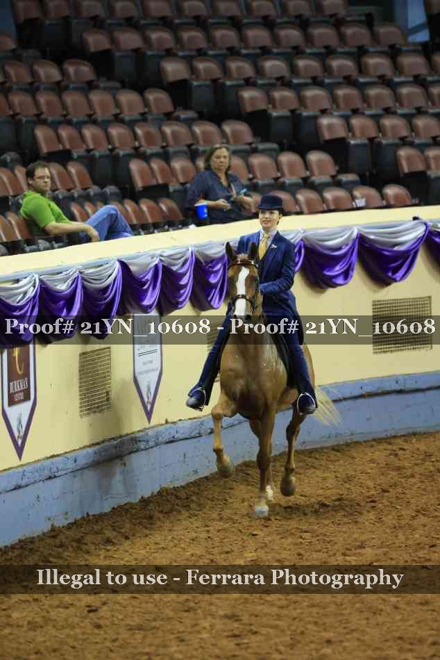 Proof 21YN_10608