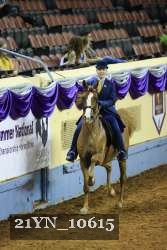21YN_10615 proof