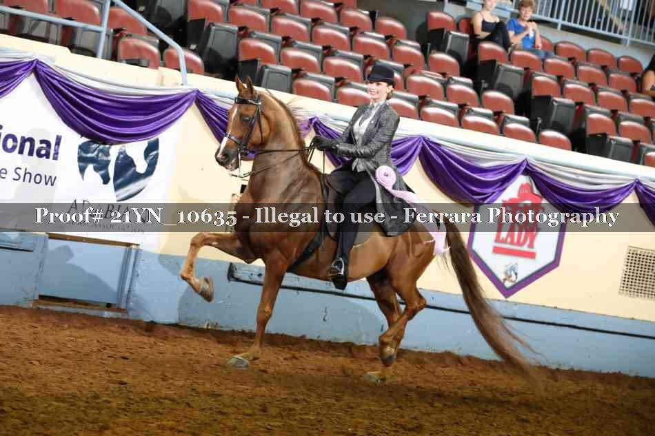 Proof 21YN_10635