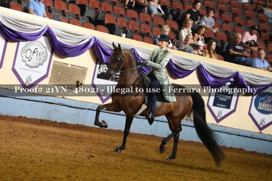 Proof 21YN_48021