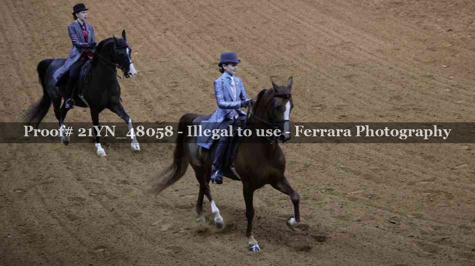 Proof 21YN_48058