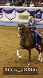 21YN_48066 proof