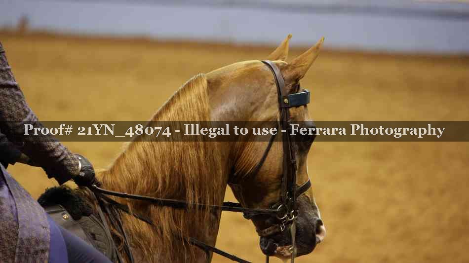 Proof 21YN_48074
