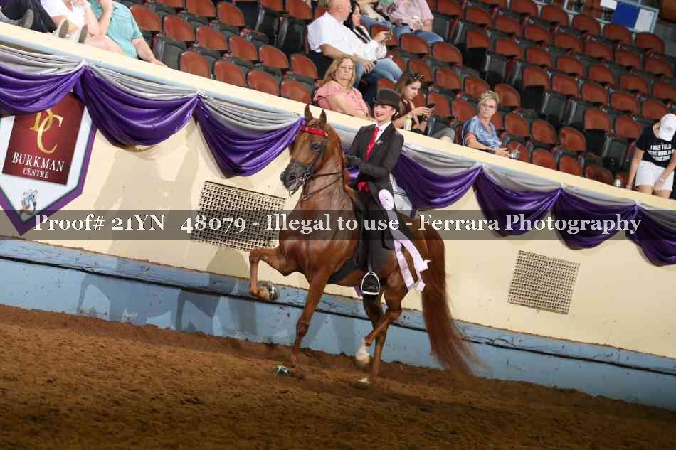 Proof 21YN_48079