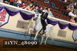21YN_48090 proof