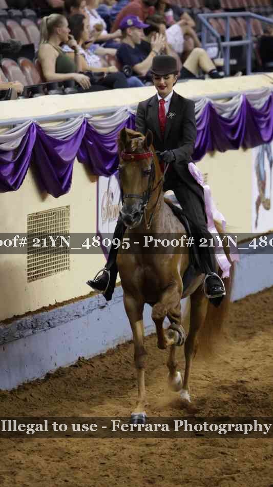 Proof 21YN_48095