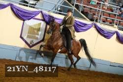 21YN_48117 proof