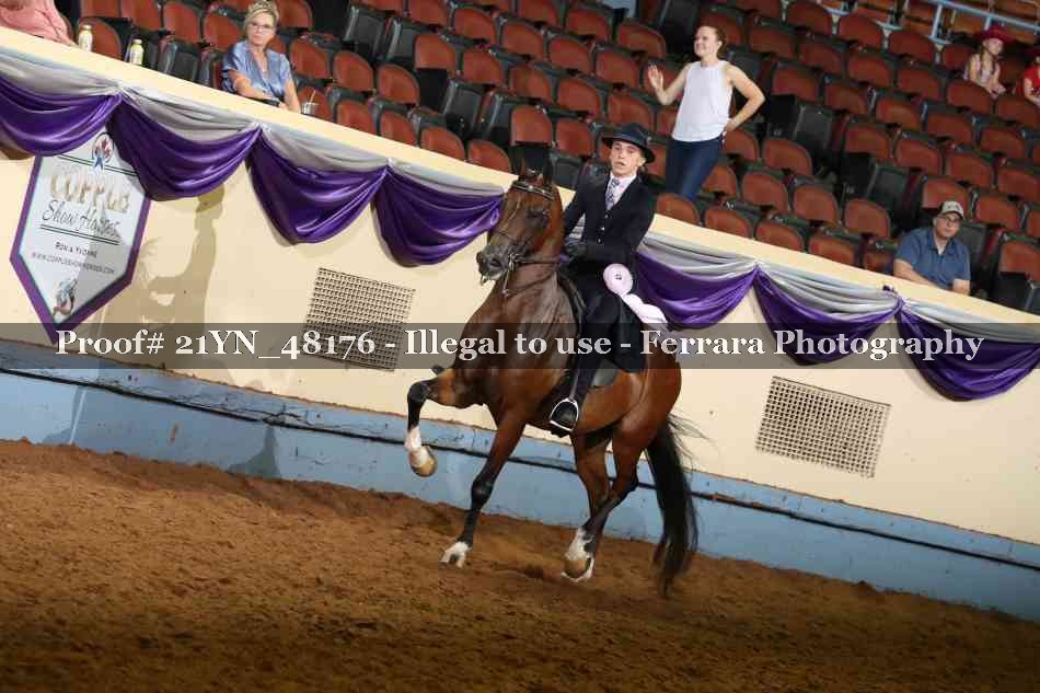 Proof 21YN_48176
