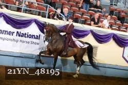 21YN_48195 proof
