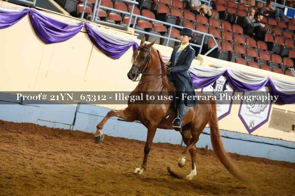 Proof 21YN_65312
