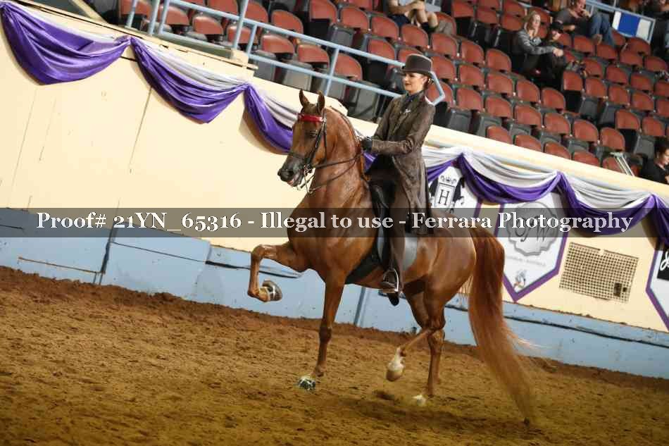 Proof 21YN_65316