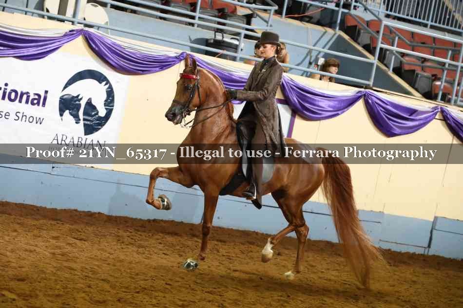 Proof 21YN_65317