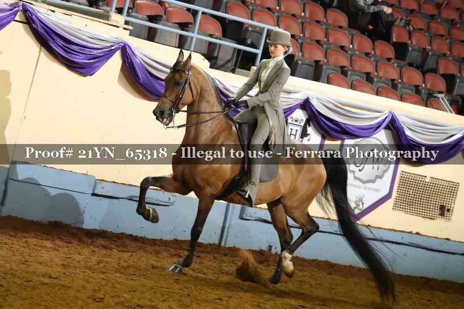 Proof 21YN_65318