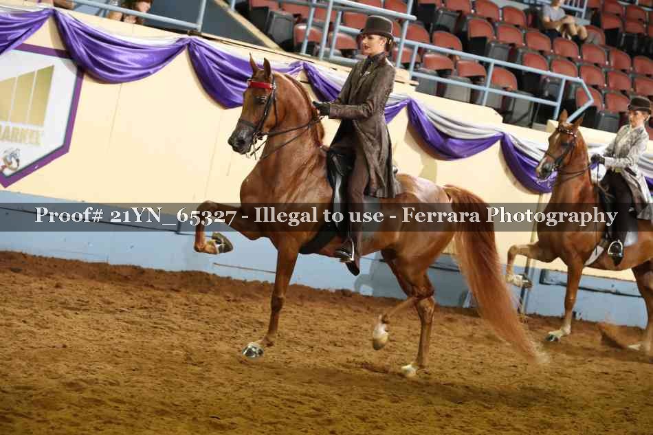 Proof 21YN_65327