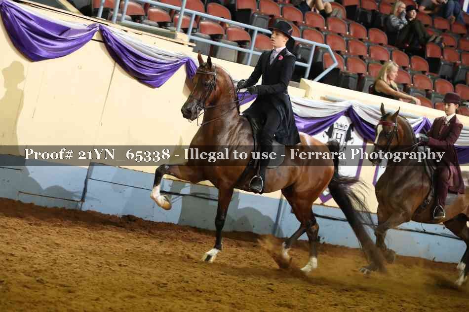 Proof 21YN_65338