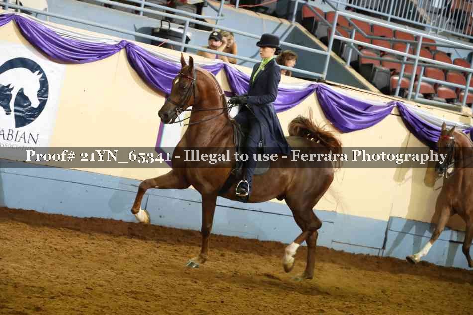 Proof 21YN_65341