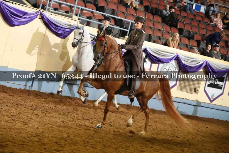 Proof 21YN_65344