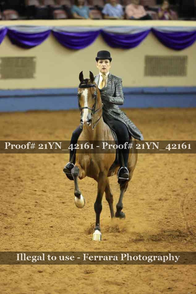 Proof 21YN_42161