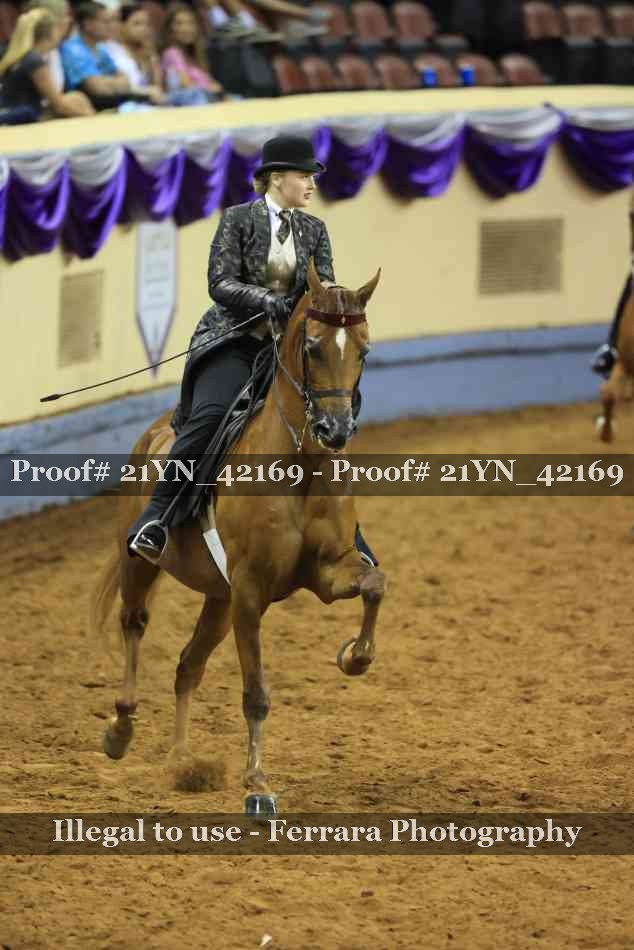 Proof 21YN_42169