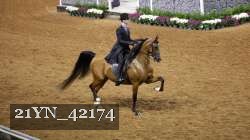 21YN_42174 proof