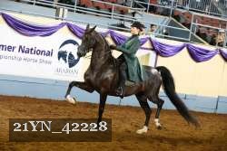 21YN_42228 proof