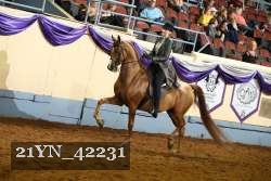 21YN_42231 proof