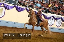 21YN_42242 proof