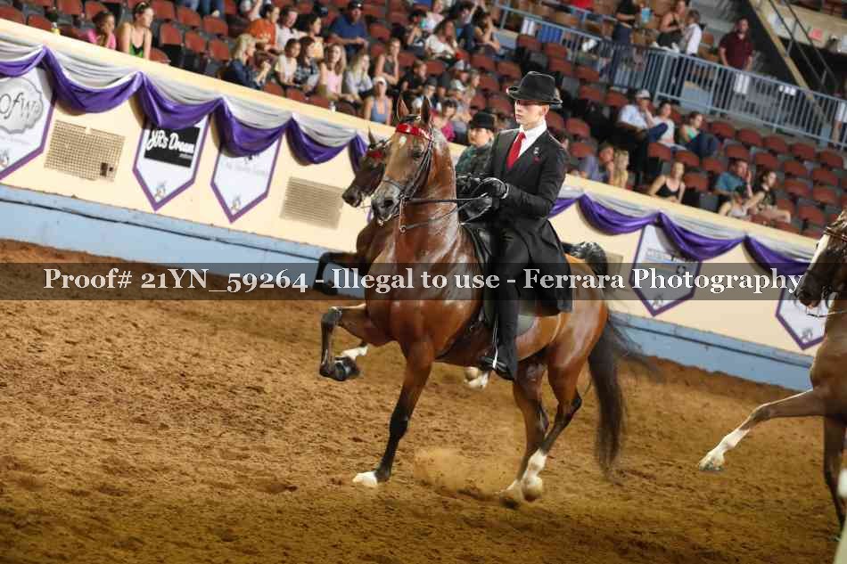 Proof 21YN_59264