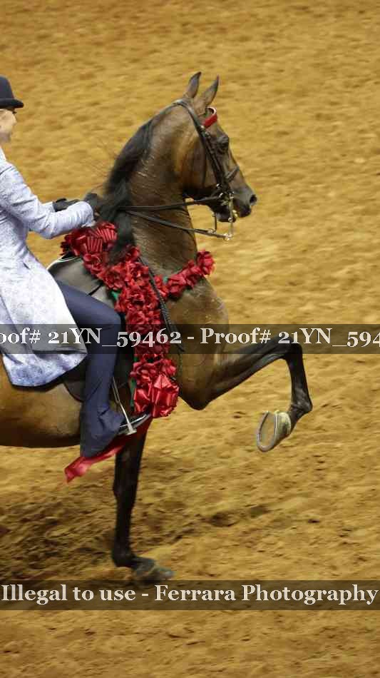 Proof 21YN_59462