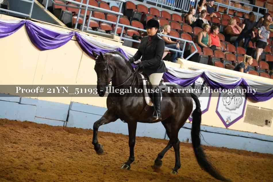 Proof 21YN_51193