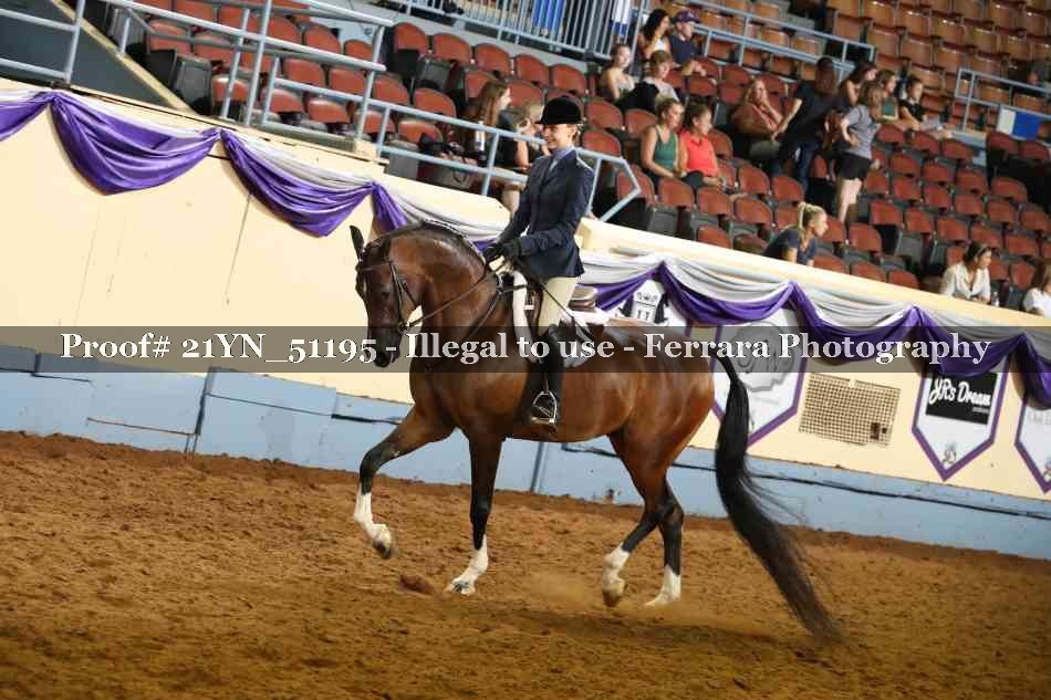 Proof 21YN_51195