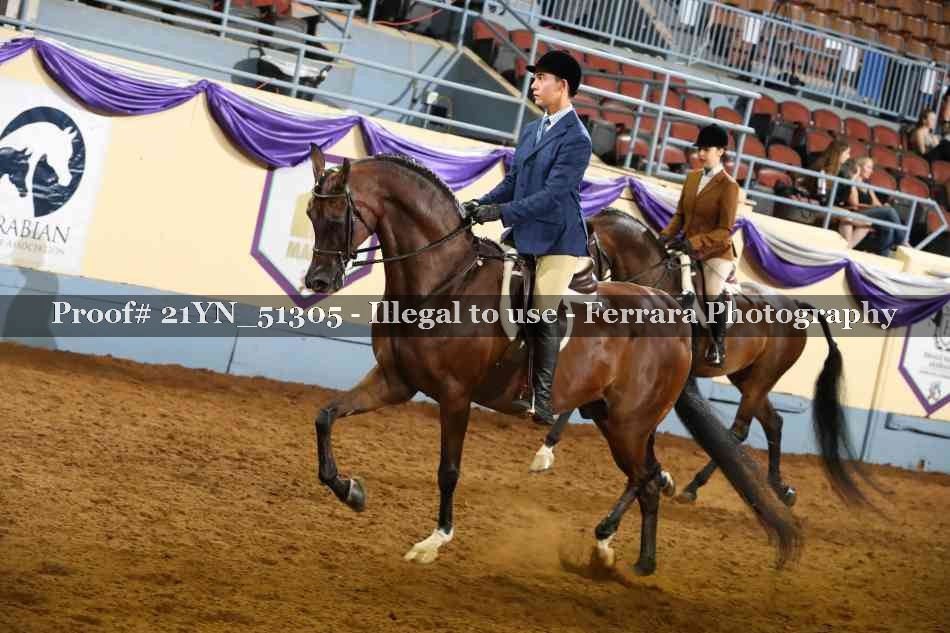 Proof 21YN_51305