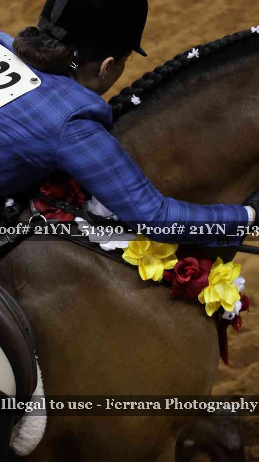 Proof 21YN_51390