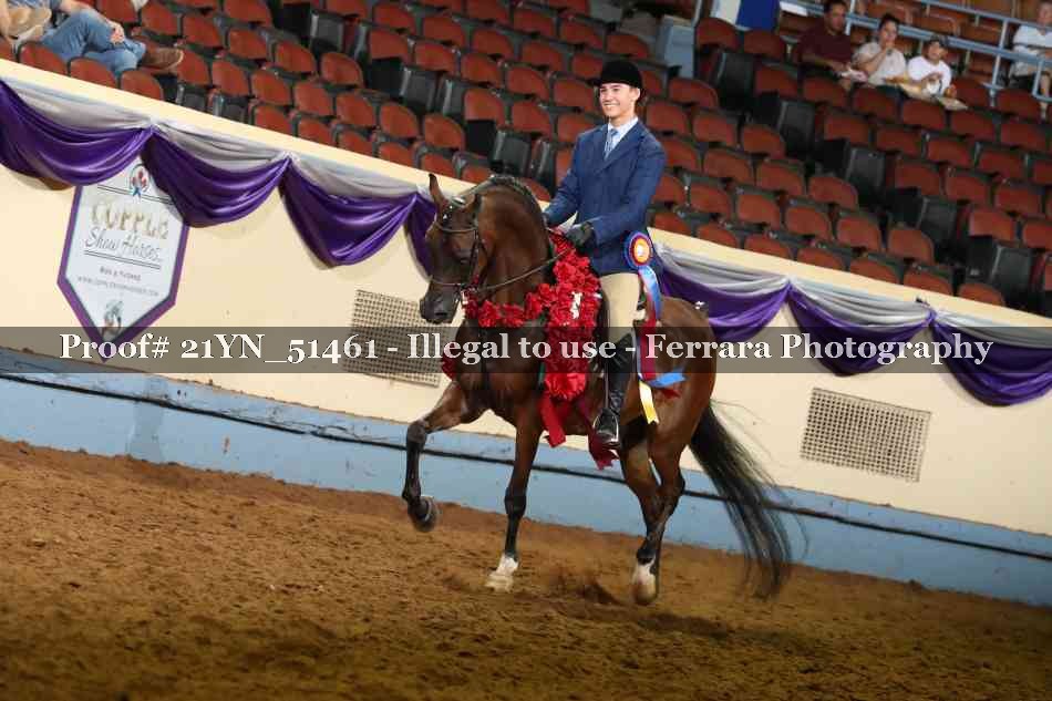 Proof 21YN_51461