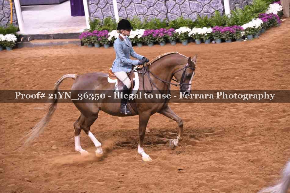 Proof 21YN_36350