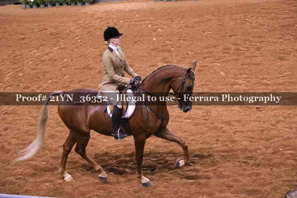 Proof 21YN_36352
