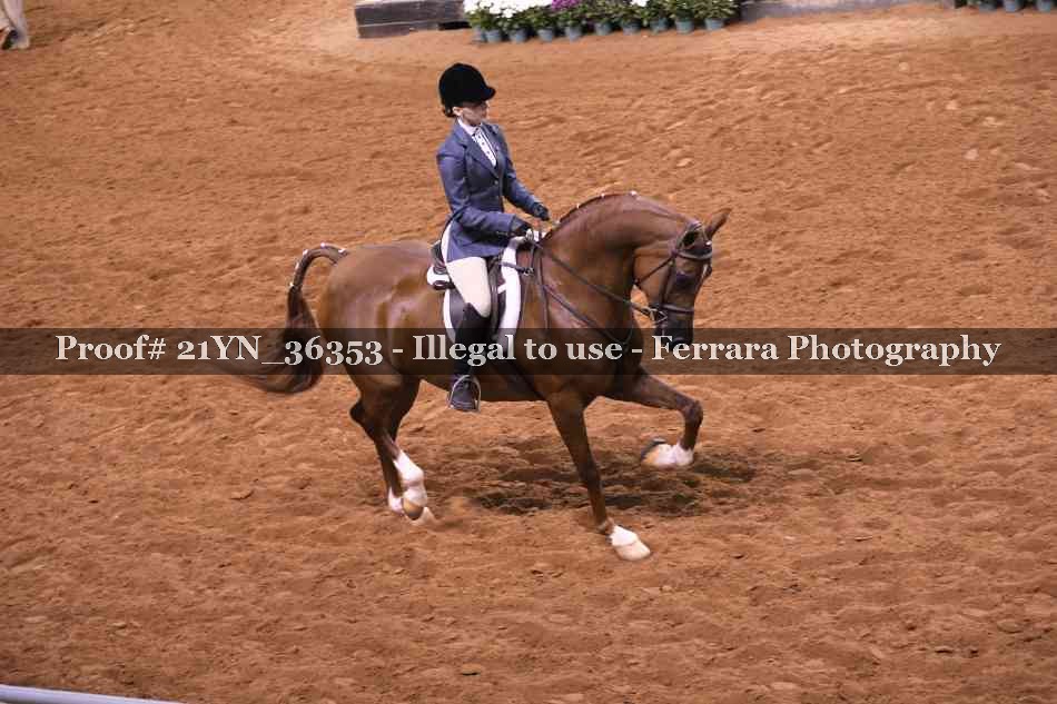Proof 21YN_36353