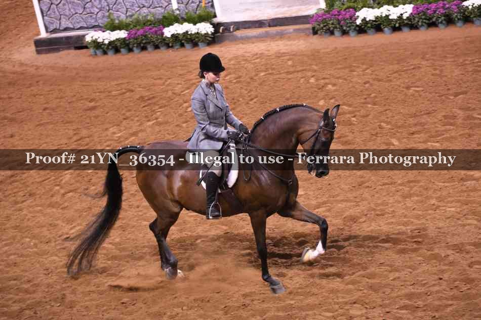 Proof 21YN_36354