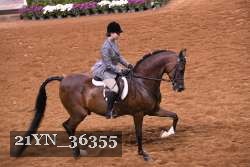 21YN_36355 proof