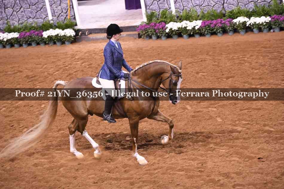 Proof 21YN_36356