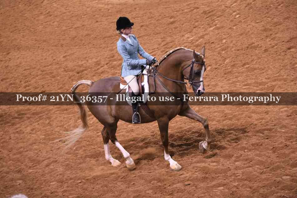 Proof 21YN_36357