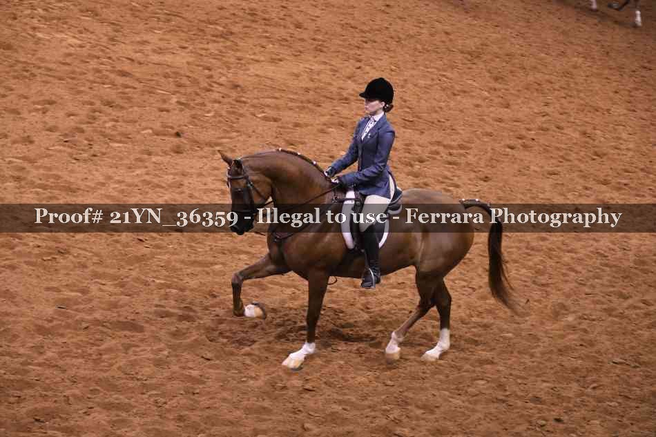 Proof 21YN_36359