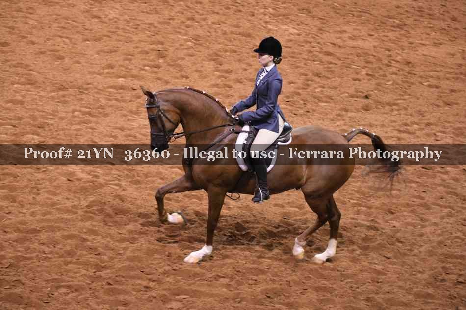 Proof 21YN_36360